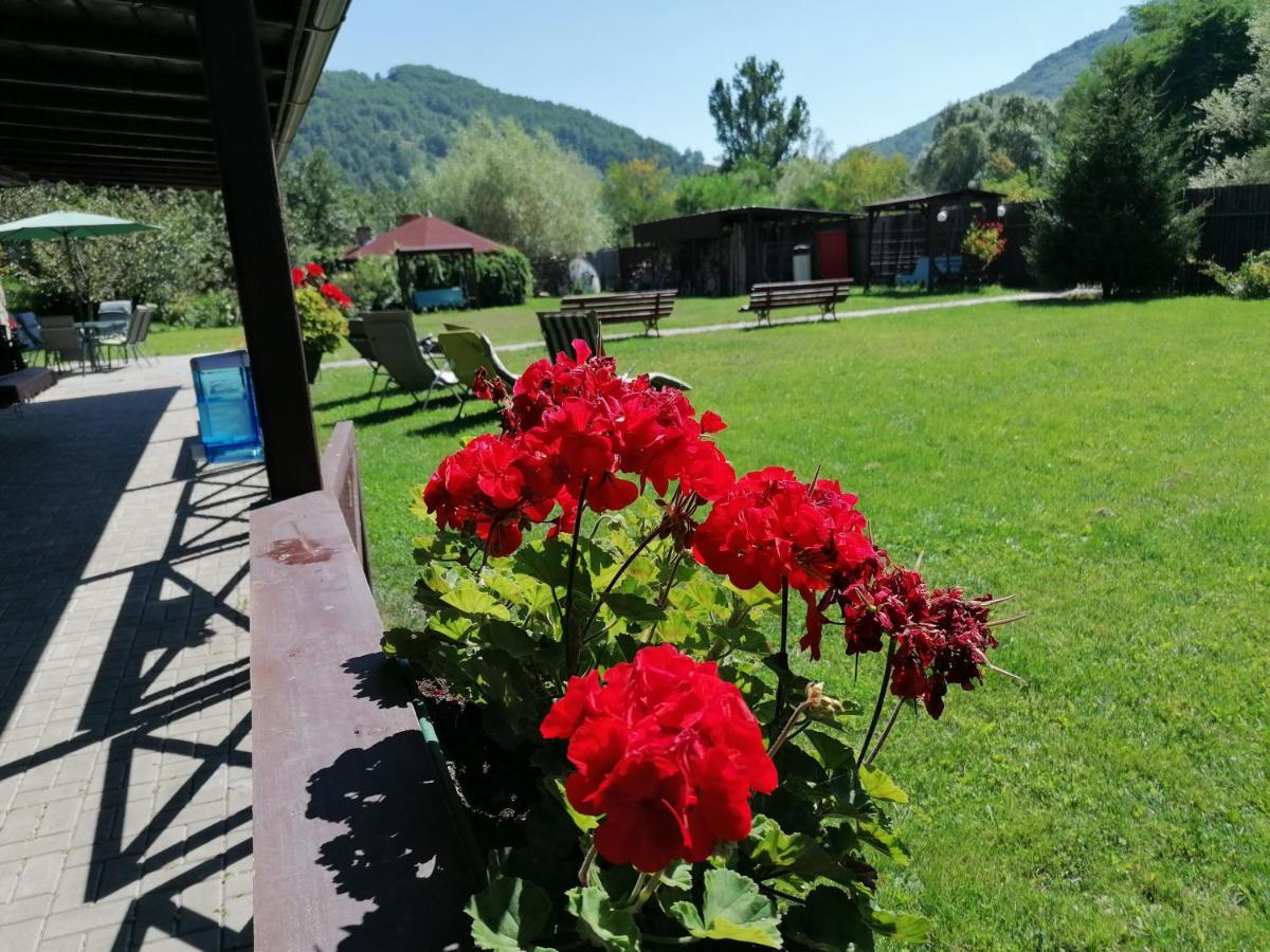 Cabana Poiana Galdei Extérieur photo