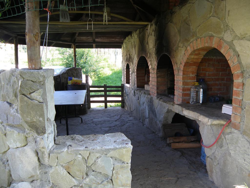 Cabana Poiana Galdei Extérieur photo