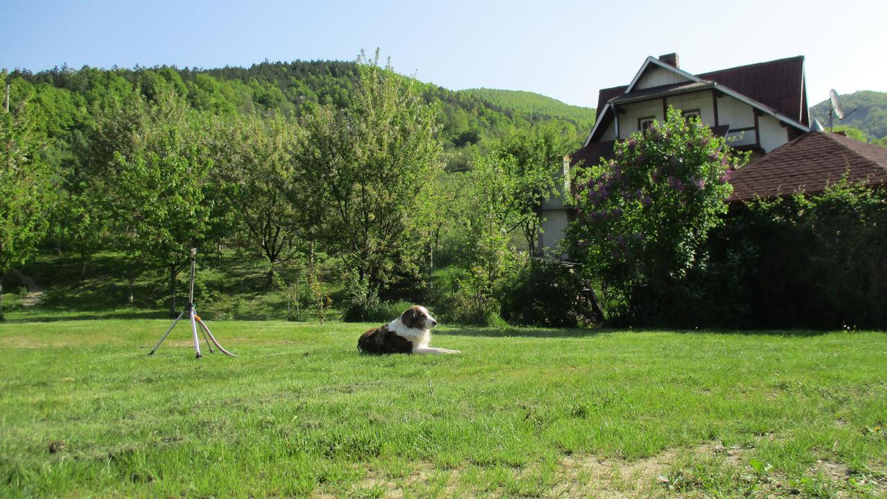Cabana Poiana Galdei Extérieur photo